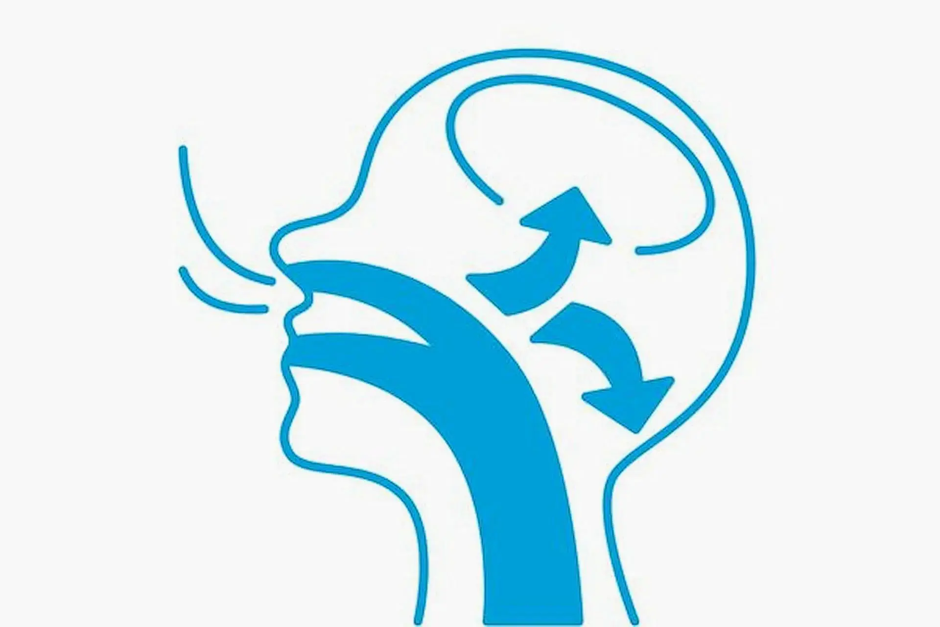 This illustration depicts a side profile of a head, clearly showing airflow paths through the mouth and nose. Arrows highlight how air travels onward, offering insights into airflow dynamics typical of a mouth breather in Greenville, SC This illustration depicts a side profile of a head, clearly showing airflow paths through the mouth and nose. Arrows highlight how air travels onward, offering insights into airflow dynamics typical of a mouth breather in Greenville, SC
