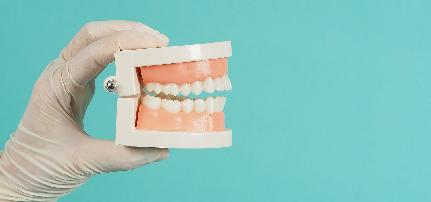 A gloved hand holds a dental model showcasing a set of teeth against a turquoise background, highlighting the importance of orthodontic insurance plans for maintaining optimal oral health in Greenville, SC